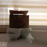 ترشی خوری و کاسه سالاد