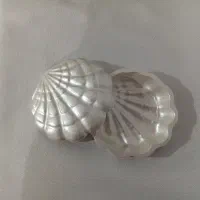 استند جواهرات طرح صدف