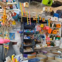 خوراک پرندگان زینتی در پرنده سرای طبیعت|لوازم جانبی حیوانات|مرند, |دیوار