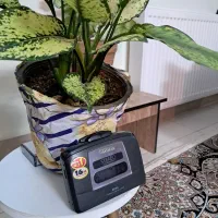 واکمن آیوا ، سالم