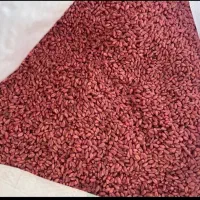 فروش گندم سرداری