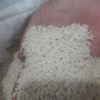 برنج طارم هاشمی|خوردنی و آشامیدنی|بابلسر, |دیوار