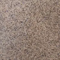 قوتو اصل ،قاووت|خوردنی و آشامیدنی|مشهد, حجت|دیوار