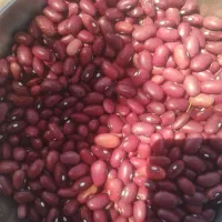 فروش دوتن لوبیا قرمز کشت امسال بوجاری شده