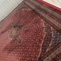 فرش ماشینی ۱۲متری|فرش|مشگین شهر, |دیوار