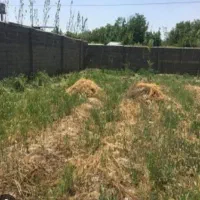 زمین ۲۵۰ متری مدرس رودهن