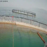 قفس پرورش ماهی دریای خزر|ماشینآلات صنعتی|تهران, حصار بوعلی|دیوار