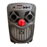 اسپیکرشارژی حرفه ای درحد