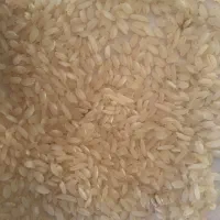 برنج  حسنی محلی