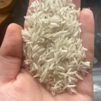 فروش برنج طارم هاشمی درجه یک محلی|خوردنی و آشامیدنی|شاهرود, |دیوار