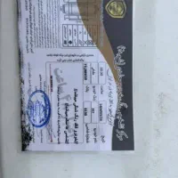 پژو 207پانوراما|خودرو سواری و وانت|کهریزک, |دیوار