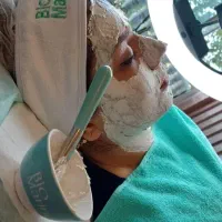 آموزش فیشال و پاکسازی