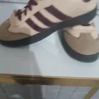 کفش نوع ترتمیز از موقعی که خریدم نپوشیدم|کیف، کفش، کمربند|گنبد کاووس, |دیوار