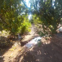 باغچه ۴۰۰متری|فروش خانه و ویلا|شریف‌آباد, |دیوار