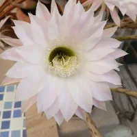 نیازبه کمک