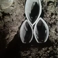 چاه کن.( ترکمن)|خدمات پیشه و مهارت|بجنورد, |دیوار