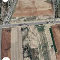 زمین باغی حاشیه جاده قدیم چناران|فروش زمین و ملک کلنگی|مشهد, رضاییه|دیوار