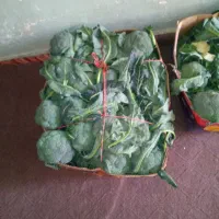 کلم بروکلی تازه تازه  70 کیلو فوری فروشی