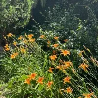 گلسار/اجاره 110m/استاد معین/نزدیک هایپر احمدی