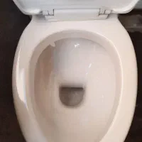 توالت فرنگی نو|لوازم سرویس بهداشتی|کیش, |دیوار