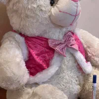 خرس ولنتاینی|اسباب‌‌بازی|تبریز, |دیوار