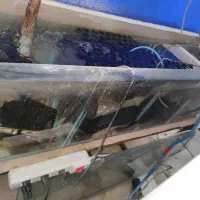 آکواریوم دیسکس|ماهی|خرم‌آباد, |دیوار