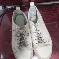 کفش و کتونی سایز ۴۲|کیف، کفش، کمربند|رشت, گلسار|دیوار