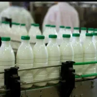 استخدام در کارخانه لبنیات