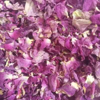 گل محمد|گل و گیاه طبیعی|اسکو, |دیوار