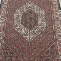 قالی نقشه بیجار|فرش|سقز, |دیوار