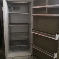 فریزر ارج سالم موتور ایتالیایی فابریک سالم|یخچال و فریزر|اصفهان, ملک‌شهر|دیوار