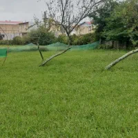 زمین ۲۰۰ مترمسکونی مستثنیات حوریان گیسوم|فروش زمین و ملک کلنگی|پره‌سر, |دیوار