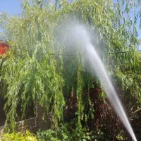 باغبانی سمپاشی .سم شته .سم چربه.وو .هر مناطق مشهد