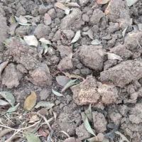 مدارک شناسایی