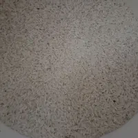 برنج محلی بروجرد