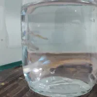 ماهی گوپی|ماهی|اسفراین, |دیوار