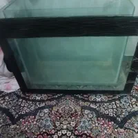 دو عدد تنگ ماهی کوچک و بزرگ