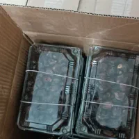 خرمای درجه یک جنوب از نوع شیره دار|خوردنی و آشامیدنی|گنبد کاووس, |دیوار