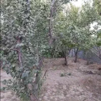 330متر-باغچه-مدارک-تکمیل