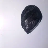 شهاب سنک|کلکسیون اشیاء عتیقه|لواسان, |دیوار