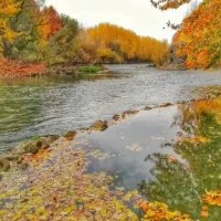 زمین مسکونی|فروش زمین و ملک کلنگی|باغ بهادران, |دیوار