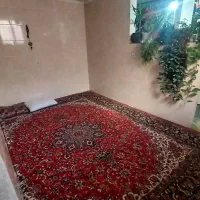 فرش قرمز لاکی قدیمی گوشتدار سنگین|فرش|قدس, شهر‌قدس|دیوار