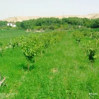 فروش خانه ویلایی ۱ متری|فروش خانه و ویلا|بجنورد, |دیوار