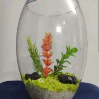 تنگ ماهی عمده|ماهی|قم, صفائیه|دیوار