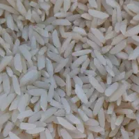 برنج فجر محلی ارگانیک  ، مستقیم از کشاورز .