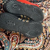 کفش کشتی سایز ۳۸|تجهیزات ورزشی|شاهین دژ, |دیوار