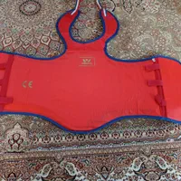 هوگو سالم و فوکیا