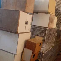 قفس درحدنو|لوازم جانبی حیوانات|تربت‌حیدریه, بالا ولایت|دیوار