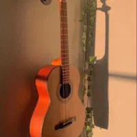 آموزشگاه موسیقی(مدرس خانم)