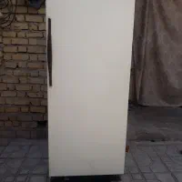 پتووفرش|فرش|جهرم, |دیوار